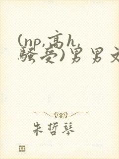 (np,高h,骚受)男男文