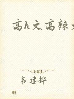 高h文高辣文