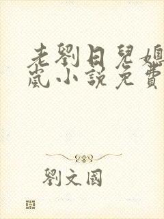 老刘日儿媳妇张岚小说免费阅读