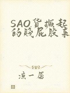 SAO货撅起你的贱屁股来封面