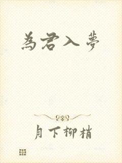 为君入梦封面