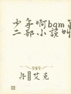 少年啊bgm第二部小说叫什么
