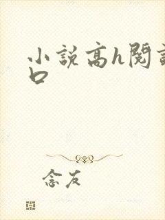 小说高h阅读重口封面
