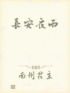 长安夜雨