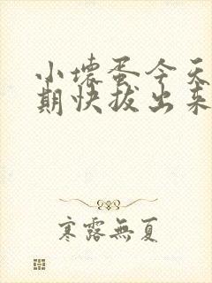 小坏蛋今天危险期快拔出来