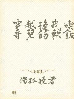 穿越后我吃到了哥儿的软饭炉山灰封面