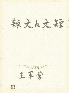 辣文h文短篇封面