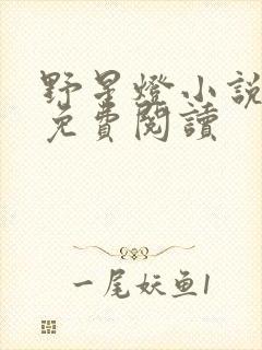 野星灯小说全文免费阅读封面