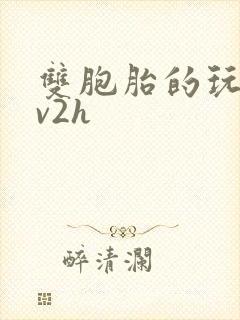 双胞胎的玩具1v2h