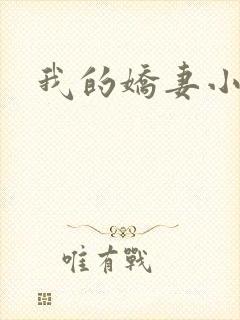 我的娇妻小说