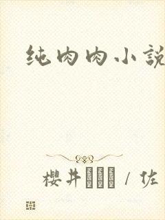 纯肉肉小说