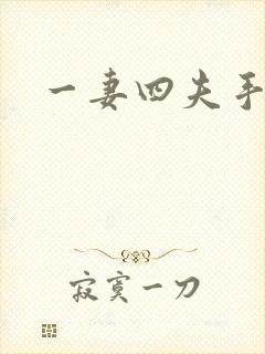 一妻四夫手记