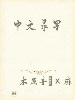 中文寻星