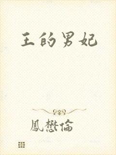 王的男妃封面
