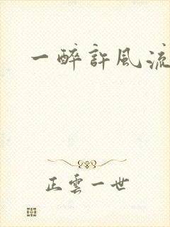 一醉许风流封面