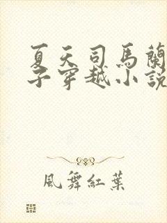 夏天司马兰九皇子穿越小说笔趣阁