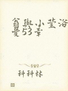 翁与小莹浴室欢爱53章封面