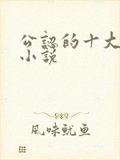 公认的十大虐心小说封面