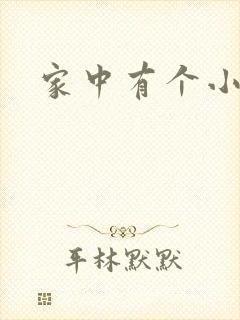家中有个小姨子封面