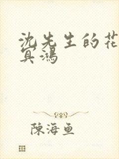 沈先生的花式调冥鸿