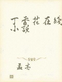丁香花在线电影小说