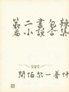 第二书包辣网短篇小说合集