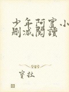 少年阿宾小说无删减阅读