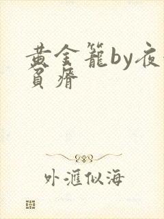黄金笼by夜很贫瘠