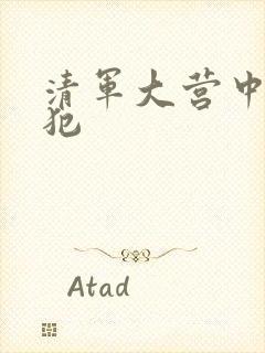 清军大营中的女犯