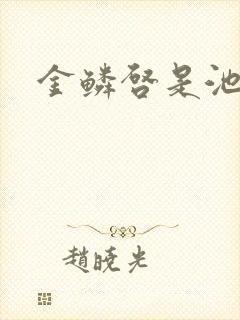 金鳞启是池中物封面