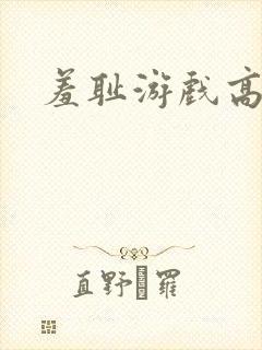 羞耻游戏高h封面