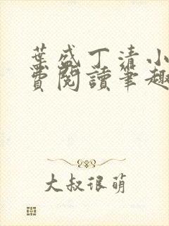 叶盛丁清小说免费阅读笔趣阁