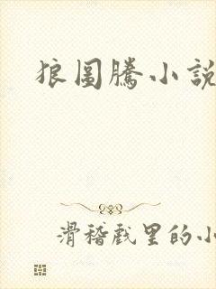 狼图腾小说封面