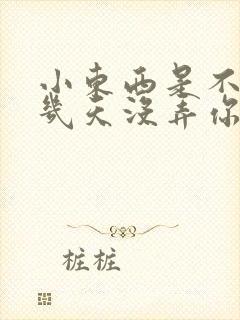 小东西是不是好几天没弄你了封面