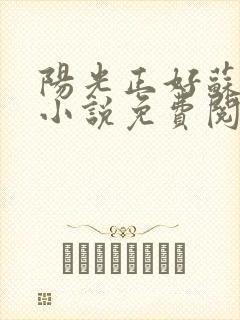 阳光正好苏玥玥小说免费阅读无弹窗