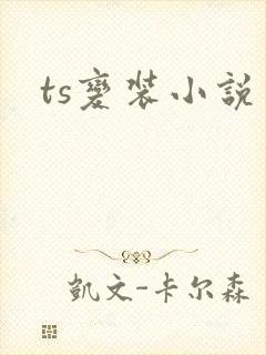 ts变装小说