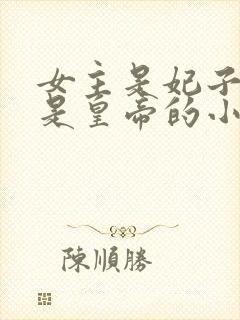 女主是妃子男主是皇帝的小说封面