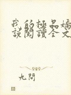 我的极品娇妻小说阅读全文封面