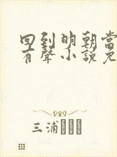 回到明朝当王爷有声小说免费听封面