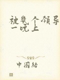 被几个领导玩弄一晚上