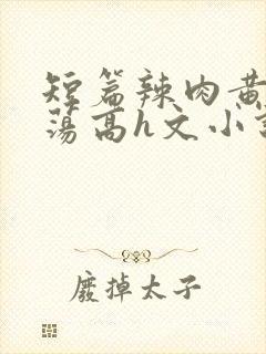 短篇辣肉黄辣放荡高h文小说