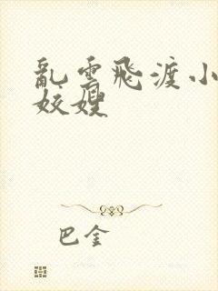 乱云飞渡小说之姣嫂