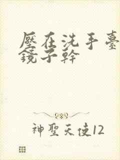 压在洗手台看着镜子干