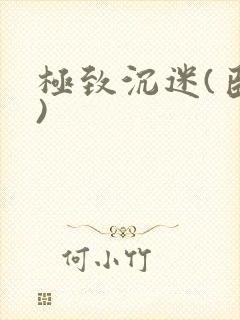 极致沉迷(臣年)封面