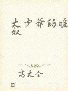 大少爷的暖床小奴