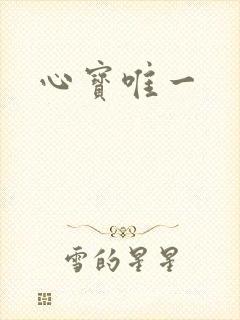 心宝唯一