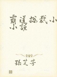 霸道总裁小娇妻小说