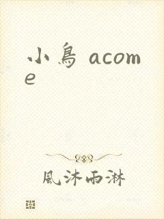 小鸟 acome封面