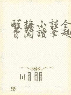 酸梅小说全文免费阅读笔趣阁