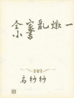 全家乱炖一锅烩小书